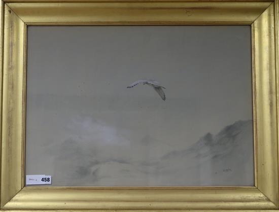 George Edward Lodge (1860-1954), watercolour, Greenland Falcon, Norway, signed, Rembrandt Gallery 44 x 61cm